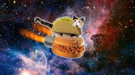 Check spelling or type a new query. I made a "Taco Cat" Wallpaper from Google images... [HD ...