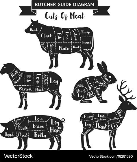 Butcher Guide Cuts Meat Diagram Royalty Free Vector Image