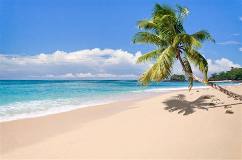 nature, Landscape, Tropical, Island, Beach, Palm Trees, Sea, Sand ...