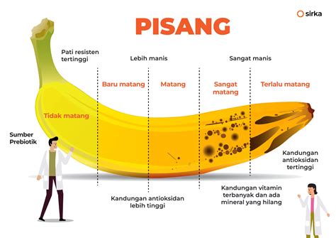 Tingkat Kematangan Pisang - Beda Kematangan, Beda Rasa?