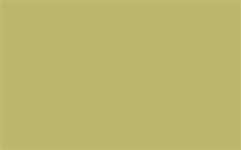 1920x1200 Dark Khaki Solid Color Background