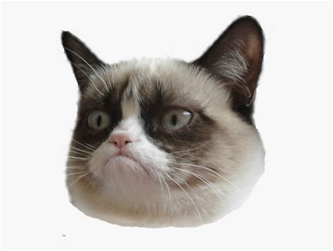 Tired of the same old text messages? Grumpy Cat Face Transparent , Free Transparent Clipart ...