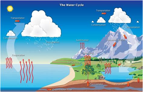 Water Cycle Process And Its Various Stages