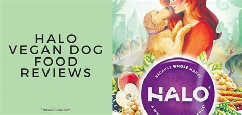 Enter halo holistic garden of vegan recipe for dogs. Halo Vegan Dog Food Reviews (Dry and Wet)