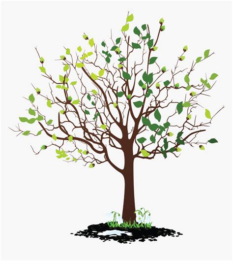 Mustard Seed Tree Clip Art