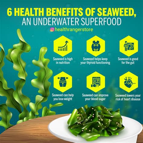 6 Health Benefits Of Seaweed Nutrition Health Health Education