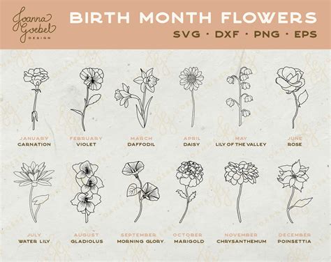 Birth Month Flowers SVG Clipart Summer Flower Svg Birth - Etsy Finland