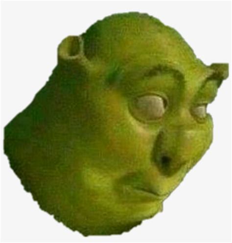 Download Shrek Face Zoomed Up Meme Shrek Invisible Background Images