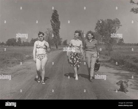 Vintage Photograph About Pet Dogs Ladies Are Walking On The Road At