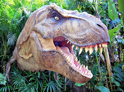 Top 11 Most Amazing Extinct Animals Fun Facts You Need To Know