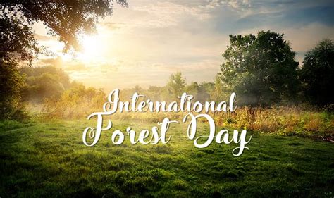 International Day Of Forests 2018 Know Why It Is Celebrated Every Year