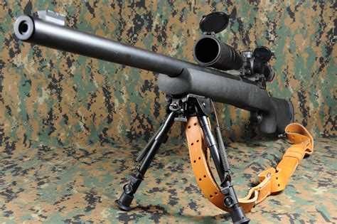 The Remington M24 Sniper Weapon System Shoespasee
