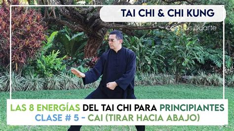 Introduccion A Las 8 Energias Del Tai Chi Para Principiantes Clase