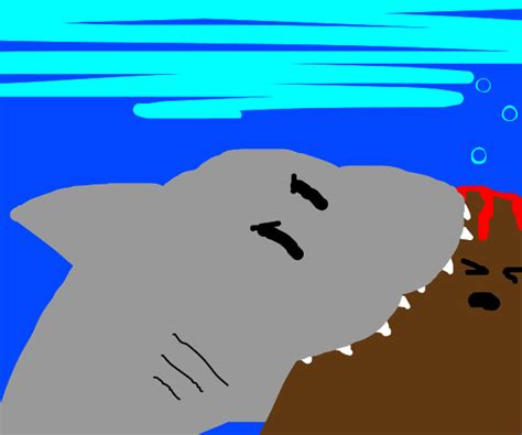 Shark Crossing Lava Drawception