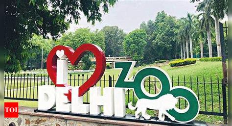 Delhi zoo to reopen from August 1, allow 3,000 visitors a day | Delhi