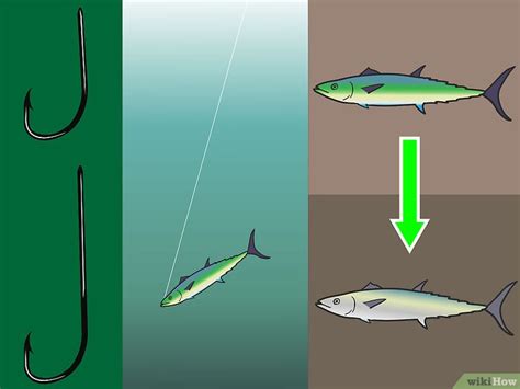 Cómo Elegir Un Anzuelo Para Pescar En Agua Salada