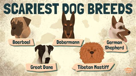 Beware17 Scariest And Terrifying Dog Breeds The Goody Pet