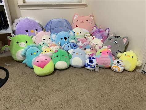 Okay Full Updated Squishmallow Collection I Think Its Getting Out Of Hand Rsquishmallow