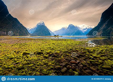 Milford Sound New Zealand Stock Image Image Of Milford 261006479