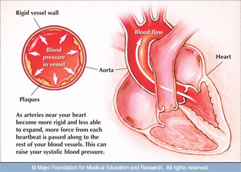 Most of this pressure results from the heart pumping blood through the circulatory system. Blood Pressure Chart - What is the normal blood pressure ...