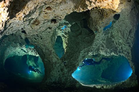 Searching For Life In Mexicos Underwater Caves Discover Magazine