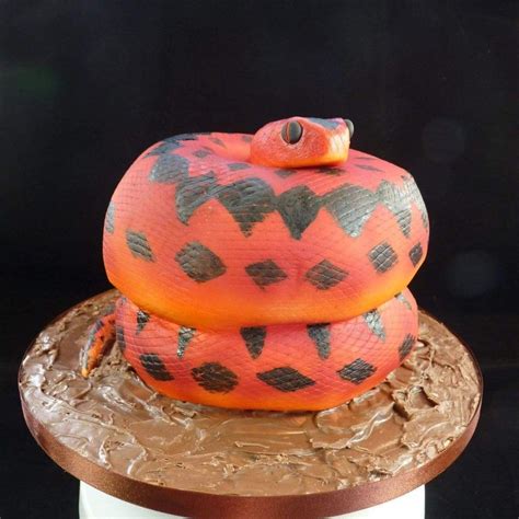 Snake Cake Snake Cakes Pumpkin Carving Pumpkin