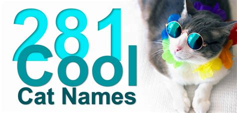 281 Cool Cat Names For Your Awesome Furry Friend