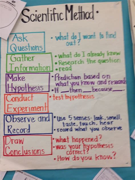 Scientific Method Experiment Ideas Examples And Forms