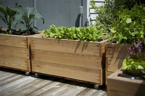 Perfect for small garden spaces & raised beds! Growing Yummy Things In Small Spaces | Small vegetable gardens, Urban farming, Container gardening