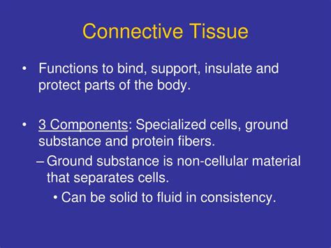 Ppt Connective Tissue Powerpoint Presentation Free Download Id2838182