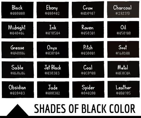 Did You Know That The Color Black Has Several Different Shade