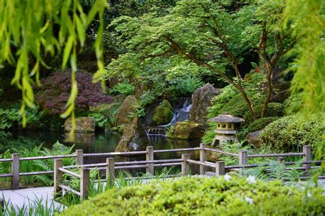 Your Summer Sanctuary Portland Japanese Garden