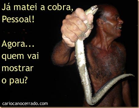 Matando A Cobra Mas Continua Procurando O Pau Carioca No Cerrado