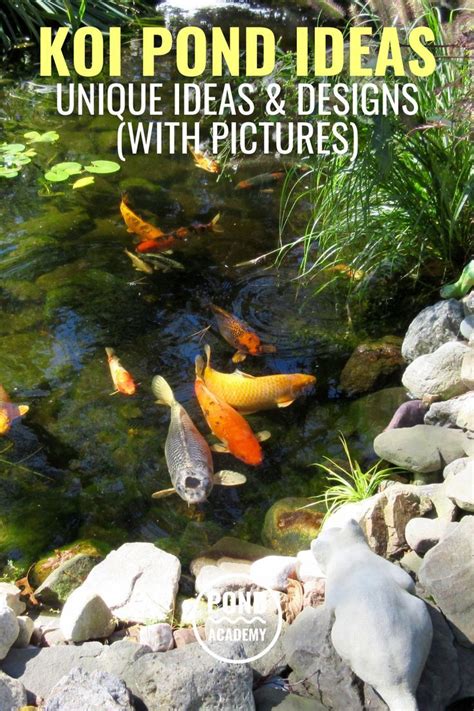 Koi Pond Ideas Outdoor Fish Ponds Koi Pond Backyard Backyard