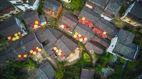Wuyuan In East China Glows With Autumn Harvest Cn
