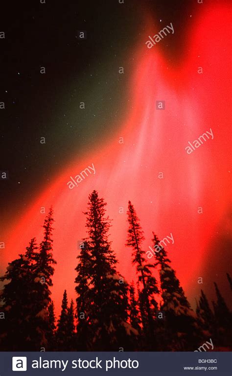 A Rare Red Corona Colors The Aurora Borealis Northern