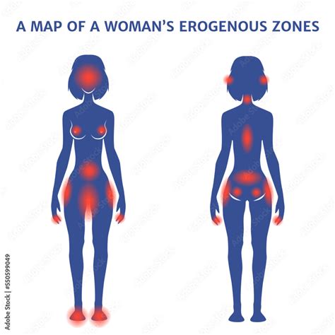 Erogenous Zones Of A Woman The Figure Of A Girl With Marks Vector