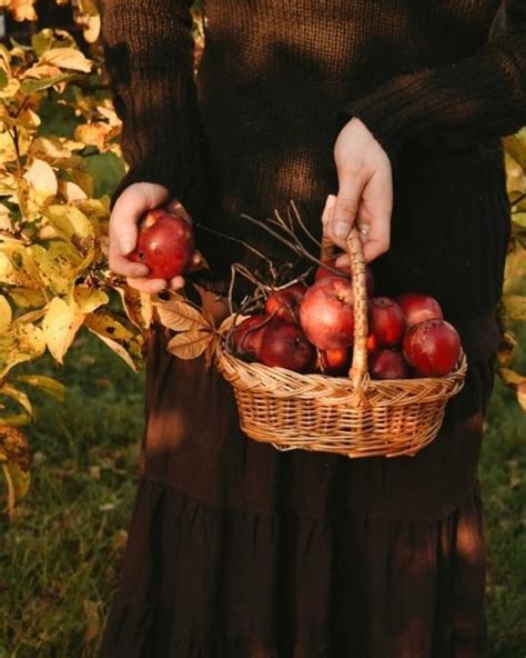 🍂witchy Autumns🌙 Mabon Harvest Festival Equinox
