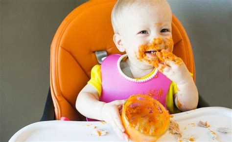 Baby Led Weaning Todo Lo Que Debes Saber