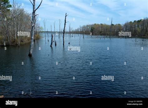 Manasquan Reservoir New Jersey Stock Photo Alamy