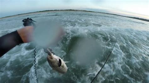 Surfland Bait And Tackle Plum Island Fishing Surfcasting Go Pro Footage