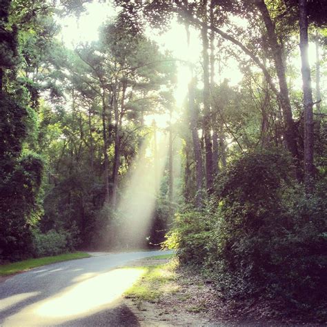 Sunrise In The Park Morning Light Favorite Places Sunrise