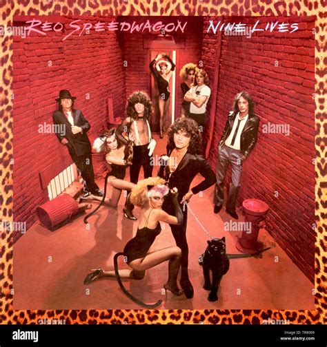 Reo Speedwagon Original Vinyl Album Cover Nine Lives 1979 Stock