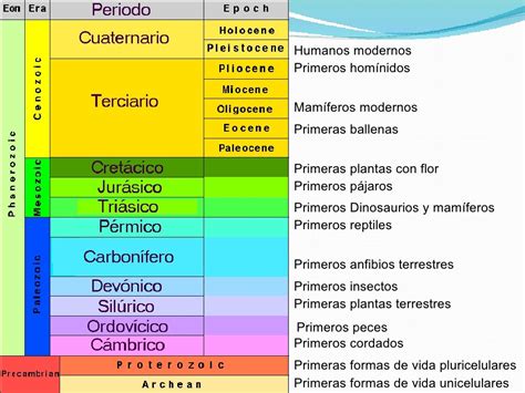 Eras Geologicas Geografia Geologica Geologia Images