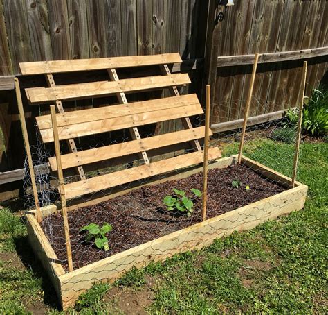 Zucchini Trellis Diy Jacquelynellis