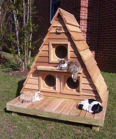 Triplex 001 Outdoor Cat Shelter Outdoor Cat Enclosure Outdoor Cat