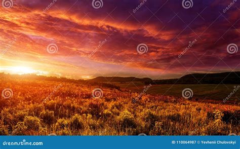 Majestic Sunset Dramatic Colorful Sky Over The Poppy Field Under