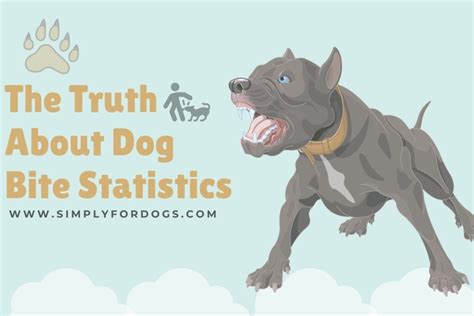 Dog Bite Statistics The Surprising Truth Simply For Dogs