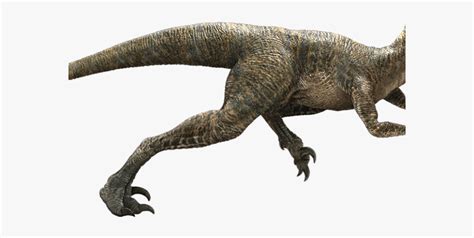 Drawn Velociraptor Delta Jurassic World Echo Raptor Free
