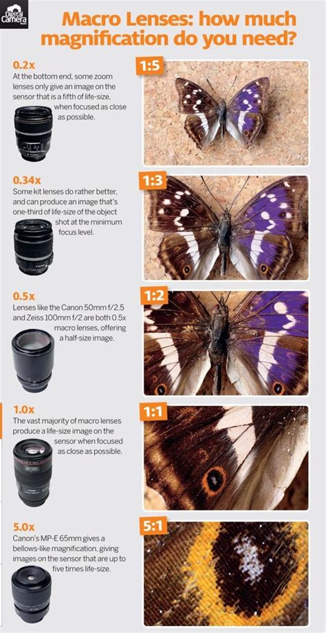 Photography Cheat Sheet Quick Macro Lens Guide